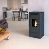 Poêle à granulés étanche fonte FIREMATIC BR12 10.3kW